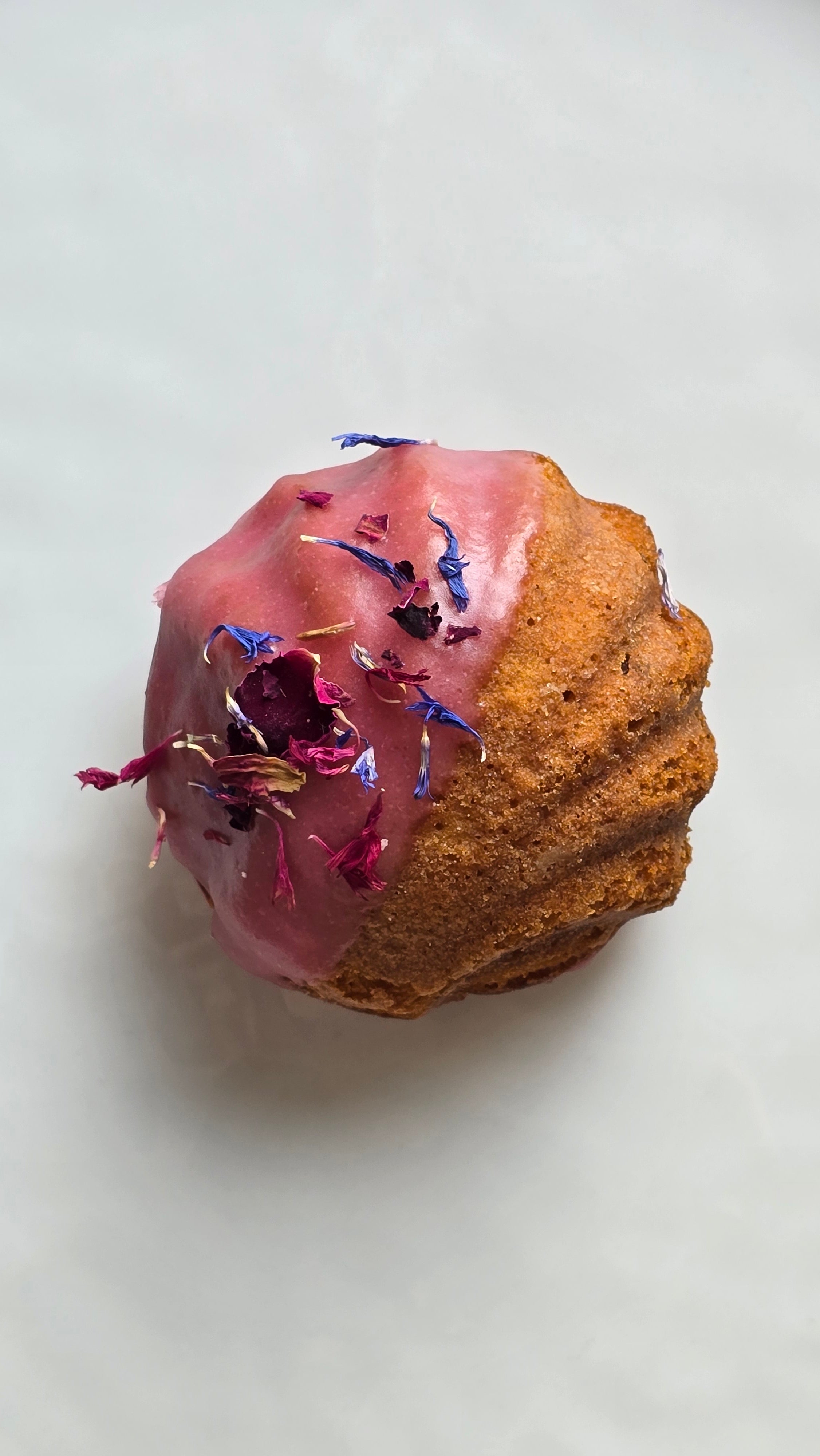 Raspberry Vanilla Madeleine